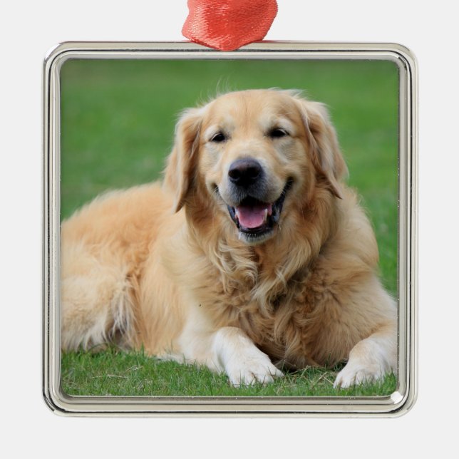 Golden Retriever Weihnachtsdekoration Metall Custo Silbernes Ornament (Vorne)