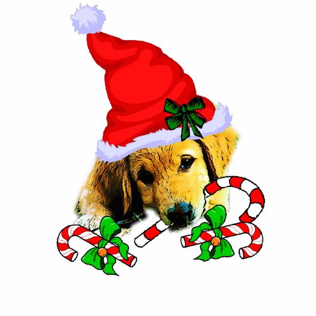 Golden Retriever Weihnachtsgeschenke Fotoskulptur Ornament (Vorne)