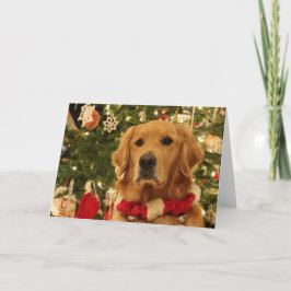 Golden Retriever Weihnachtskarte Feiertagskarte