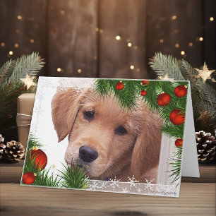 Golden Retriever Weihnachtskarte Feiertagskarte