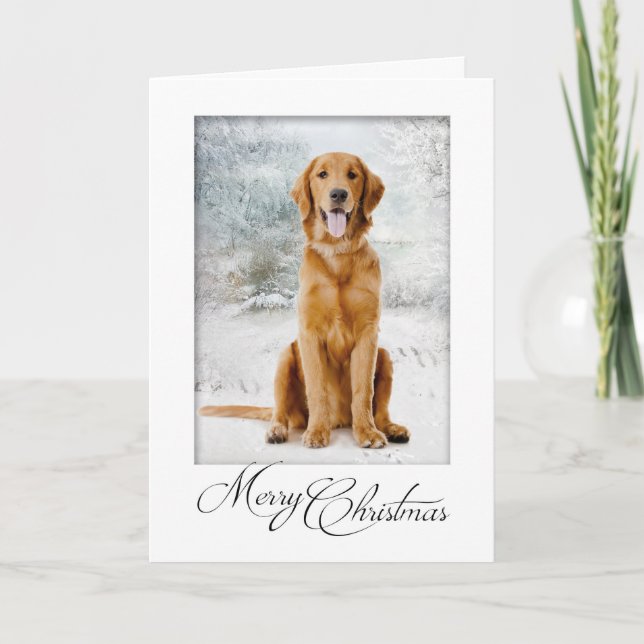 Golden Retriever Weihnachtskarte Karte (Vorderseite)