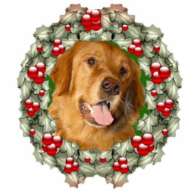 Golden Retriever Weihnachtskranz Fotoskulptur Ornament (Vorne)