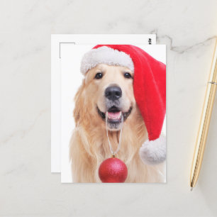 Golden Retriever Weihnachtsmannmütze Postkarte