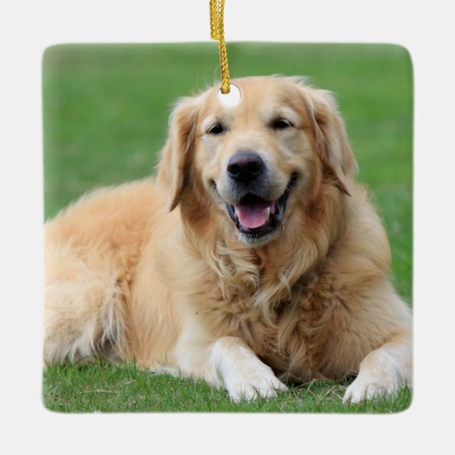 Golden Retriever Weihnachtsschmuck (Vorderseite)