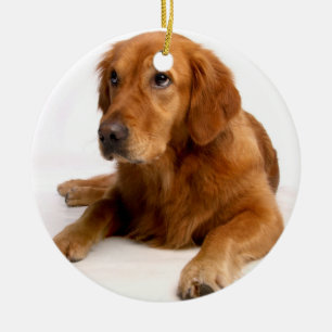 Golden Retriever Weihnachtsschmuck mit Foto