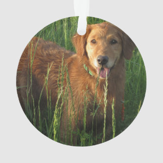 Golden Retriever Weihnachtsschmuck Ornament