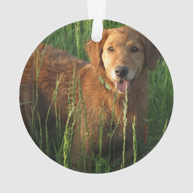 Golden Retriever Weihnachtsschmuck Ornament (Rückseite)