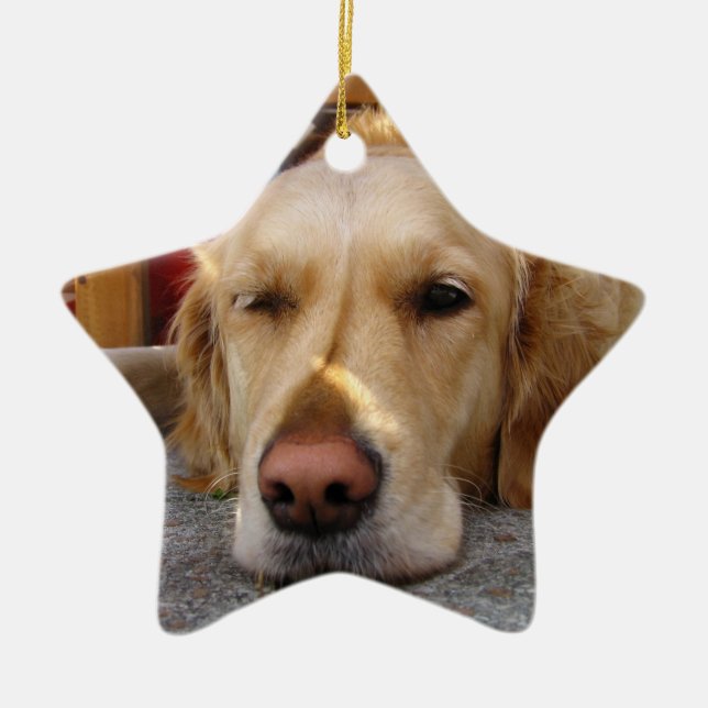 Golden Retriever Weihnachtsschmuck Star Custom (Vorne)