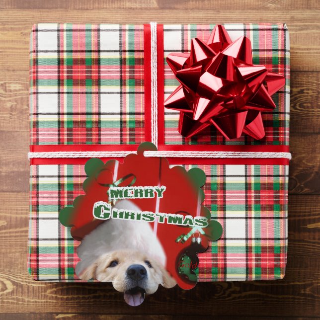 Golden Retriever Weihnachtsschmuckkarte Ornament Karte (Insitu (Geschenk))