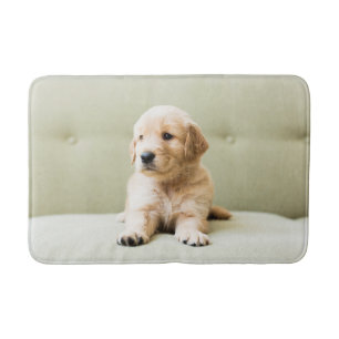 Golden Retriever Welpe auf Couch Badematte