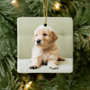Golden Retriever Welpe auf Couch Keramikornament