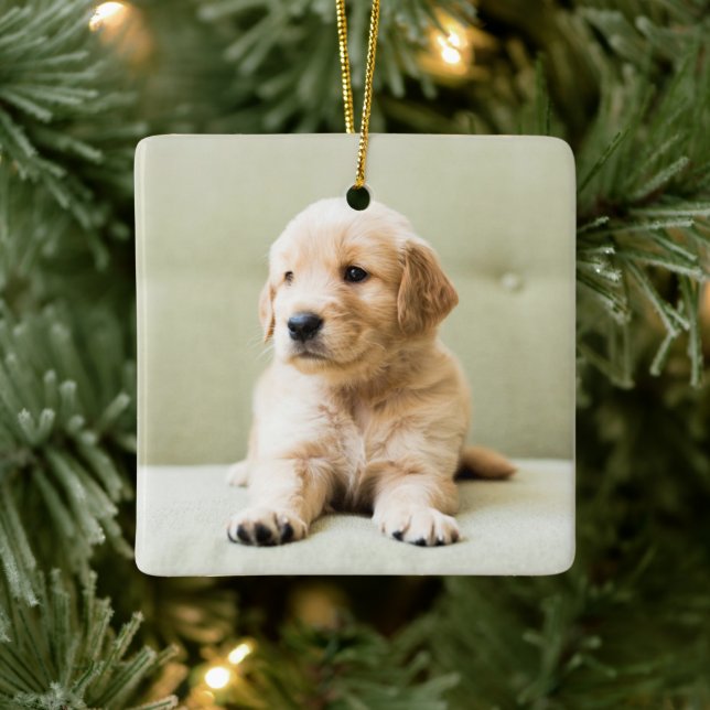 Golden Retriever Welpe auf Couch Keramikornament (Baum)