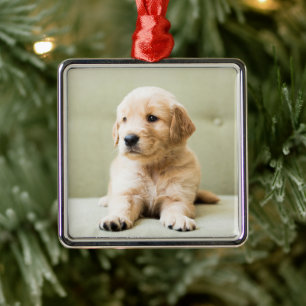 Golden Retriever Welpe auf Couch Ornament Aus Metall