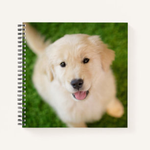 Golden Retriever Welpe auf Gras Notizbuch