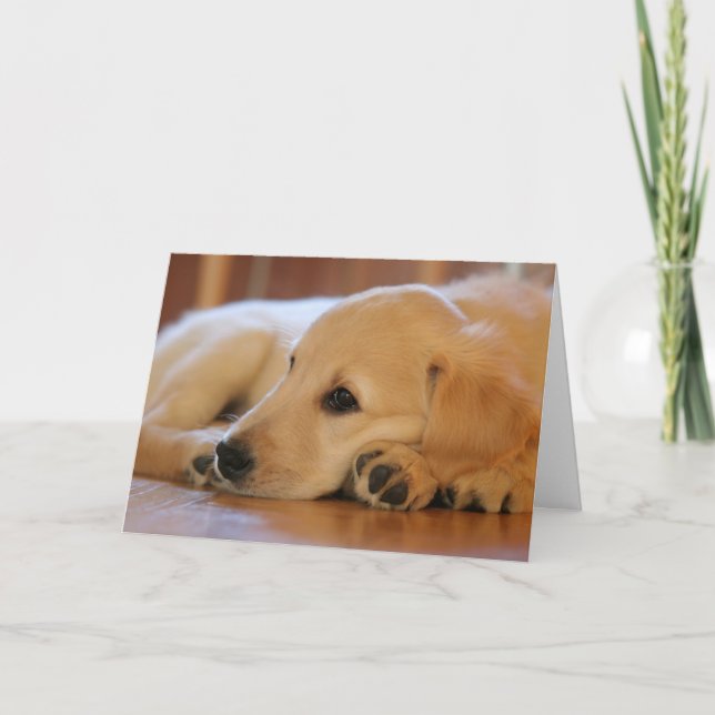 Golden Retriever Welpe Blank Inside Karte (Vorderseite)