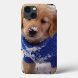 Golden retriever-Welpe iPhone 13 Hülle