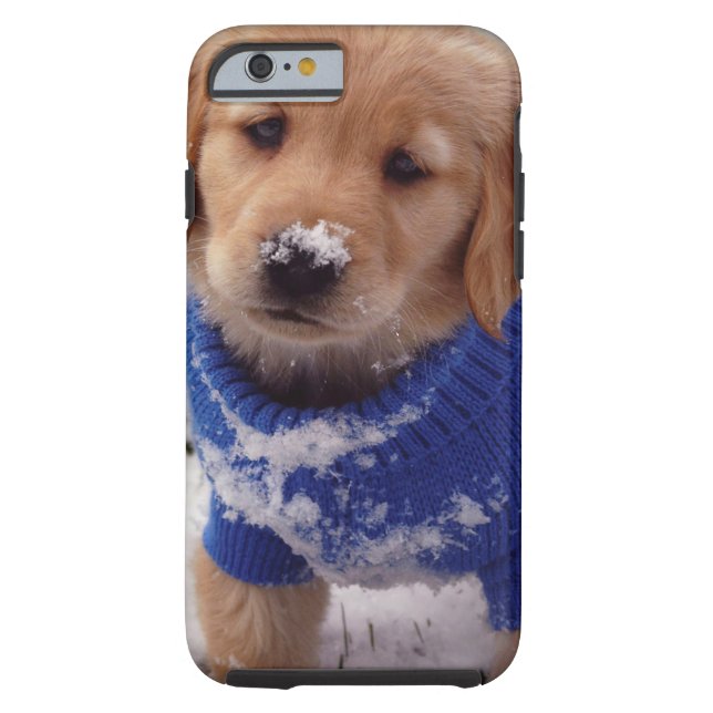 Golden retriever-Welpe Case-Mate iPhone Hülle (Rückseite)