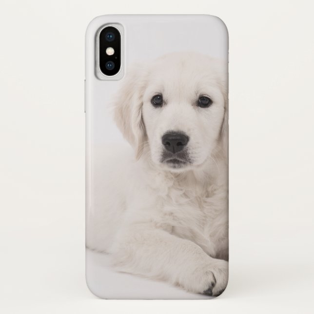 Golden retriever-Welpe Case-Mate iPhone Hülle (Rückseite)