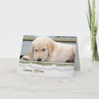 Golden Retriever Welpe Geburtstag