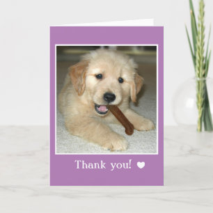 Golden Retriever Welpe Hund mit Knochen Danke