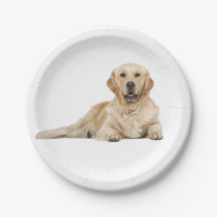 Golden Retriever Welpe Hunde Hochzeit Party Pappteller