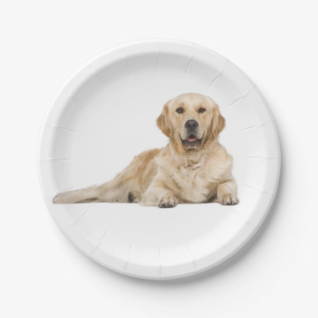 Golden Retriever Welpe Hunde Hochzeit Party Pappteller (Vorderseite)