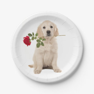 Golden Retriever Welpe Hunde Hochzeit Party Pappteller