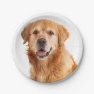 Golden Retriever Welpe Hunde Hochzeit Party Pappteller
