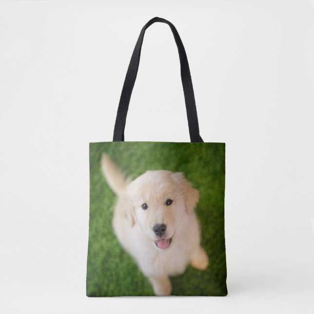Golden Retriever Welpe im Gras (Vorderseite)