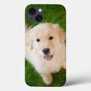 Golden Retriever Welpe im Gras Case-Mate iPhone Hülle