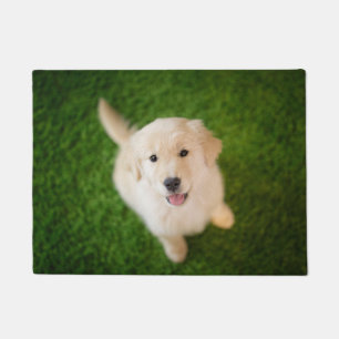 Golden Retriever Welpe im Gras Fußmatte