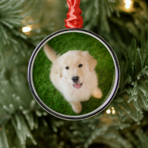 Golden Retriever Welpe im Gras Ornament Aus Metall