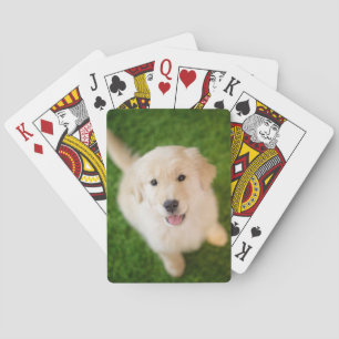 Golden Retriever Welpe im Gras Spielkarten