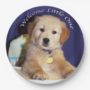 Golden retriever-Welpe im Pappteller