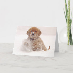 Golden retriever-Welpe im Schnee Karte