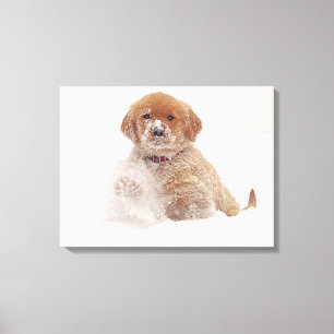 Golden Retriever Welpe im Schnee Leinwanddruck