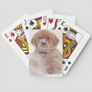 Golden Retriever Welpe im Schnee Spielkarten