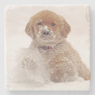 Golden Retriever Welpe im Schnee Steinuntersetzer