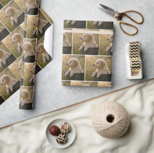 Golden Retriever-Welpe in einem Metall-Eimer Geschenkpapier