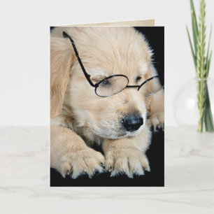 Golden Retriever Welpe mit Brille Karte