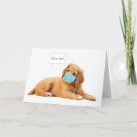 Golden Retriever Welpe mit Gesichtsmaske