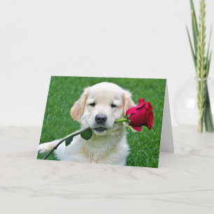 Golden Retriever Welpe mit Rote Rose Karte