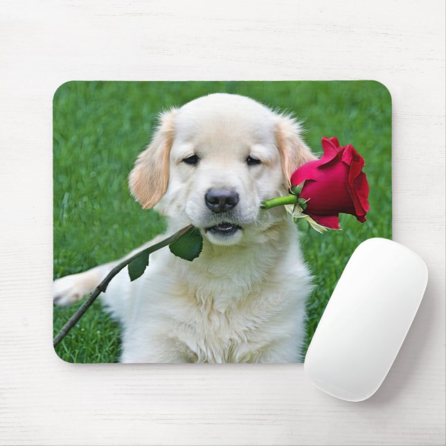 Golden Retriever Welpe mit Rote Rose Mousepad (Mit Mouse)