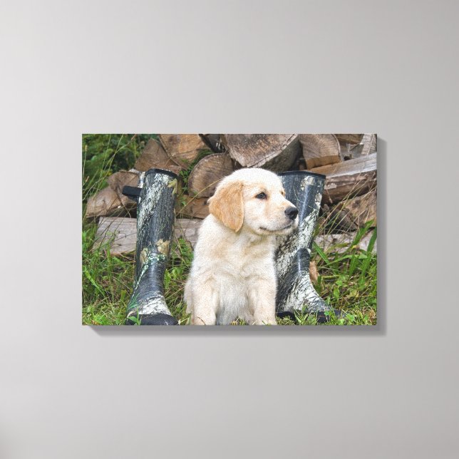 Golden Retriever Welpe mit Stiefeln Leinwanddruck (Vorderseite)