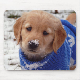Golden retriever-Welpe Mousepad