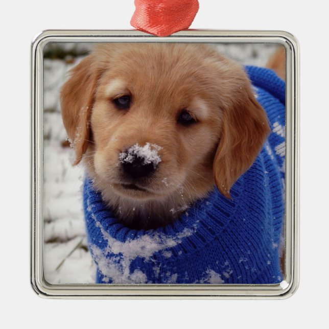 Golden retriever-Welpe Ornament Aus Metall (Vorne)