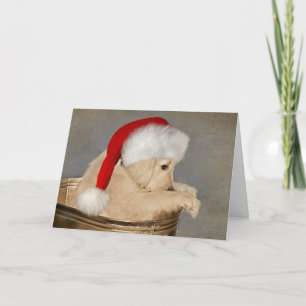 Golden Retriever Welpe Weihnachten Karte