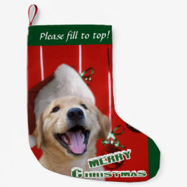 Golden Retriever Welpe Weihnachten Kleiner Weihnachtsstrumpf