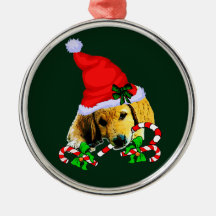 Golden Retriever Welpe Weihnachten