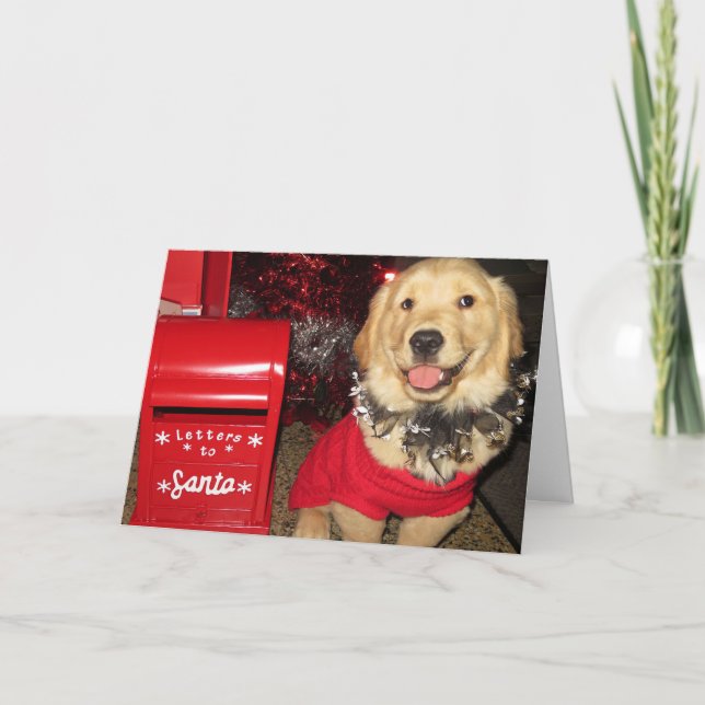 Golden Retriever Welpe Weihnachtslieferung Feiertagskarte (Vorderseite)